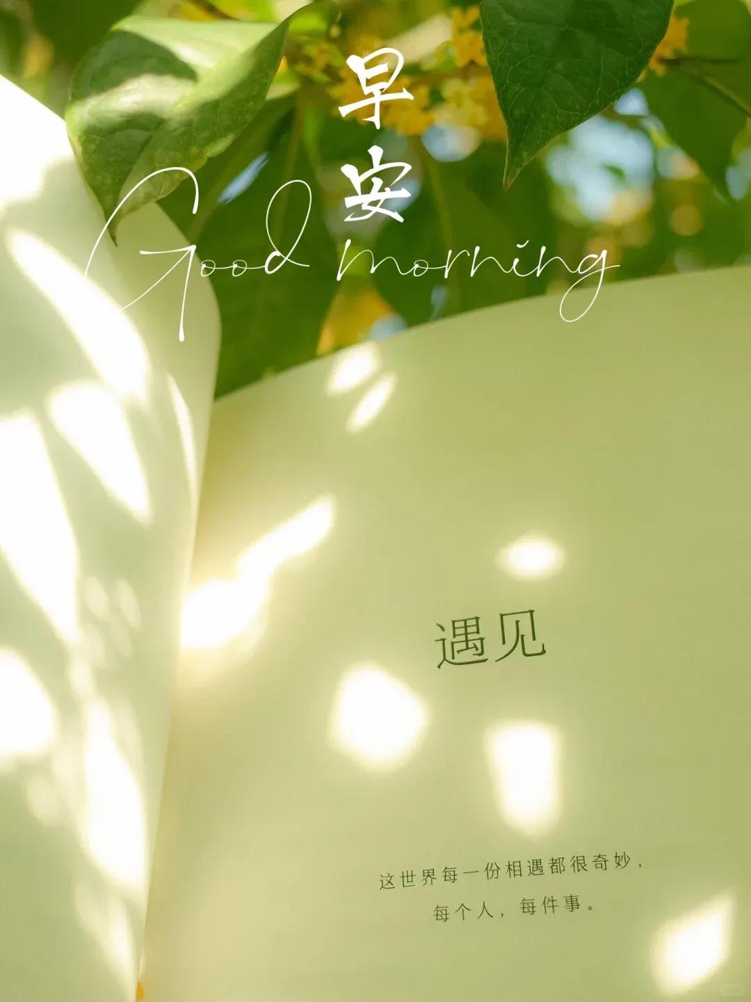 早安:愿你在努力之后,遇见更好的自己

ᥫᩣᩚ ²⁰²⁴/₁₀.₁₃ᵕ̈🌼🌿