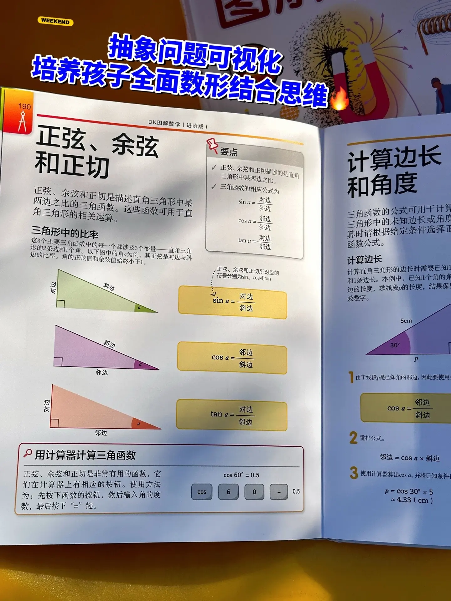 不愧是DK和清华大学出版社联袂出品，它用趣味图解的方式，把一个个枯燥难...