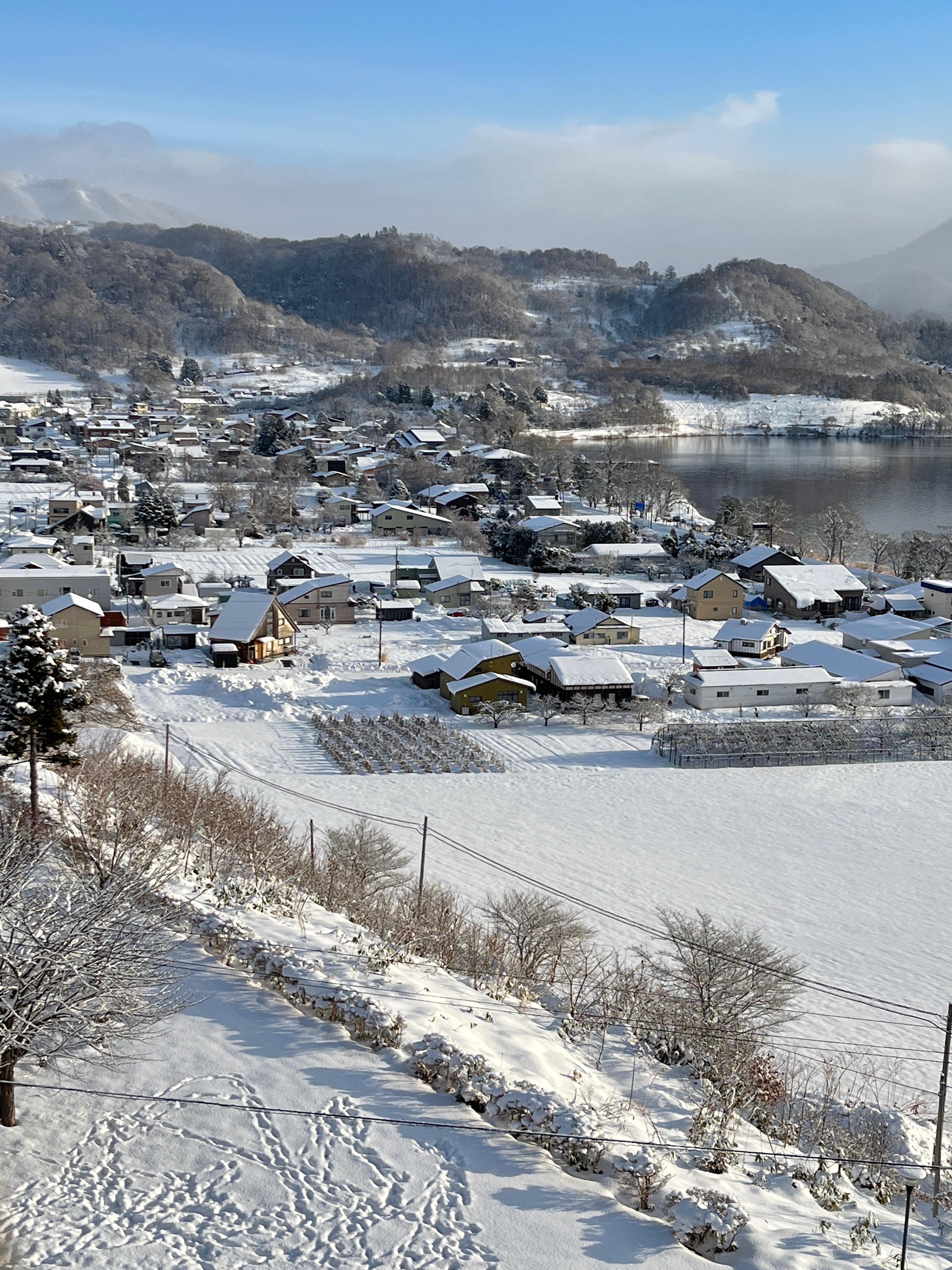 今年在北海道跨年，大家新年快乐！2025年也要一起好好的！ 
