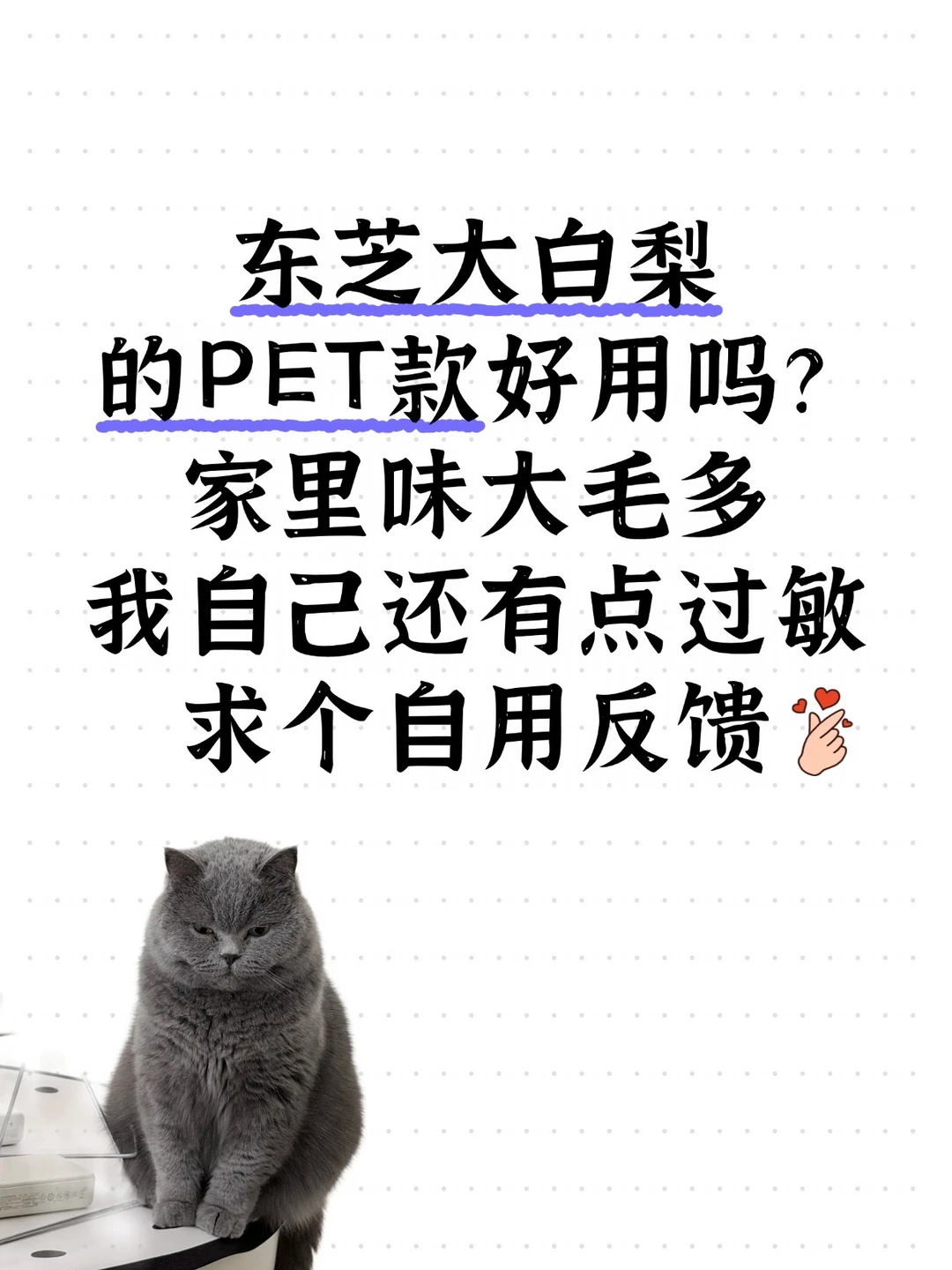 东芝这款宠物用的净化器，咋样？