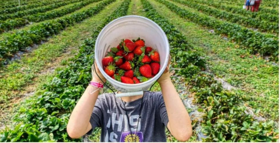 90后护士辞职回村！靠短视频带火土特产，让200多户农户增收
 
三甲医院护士李
