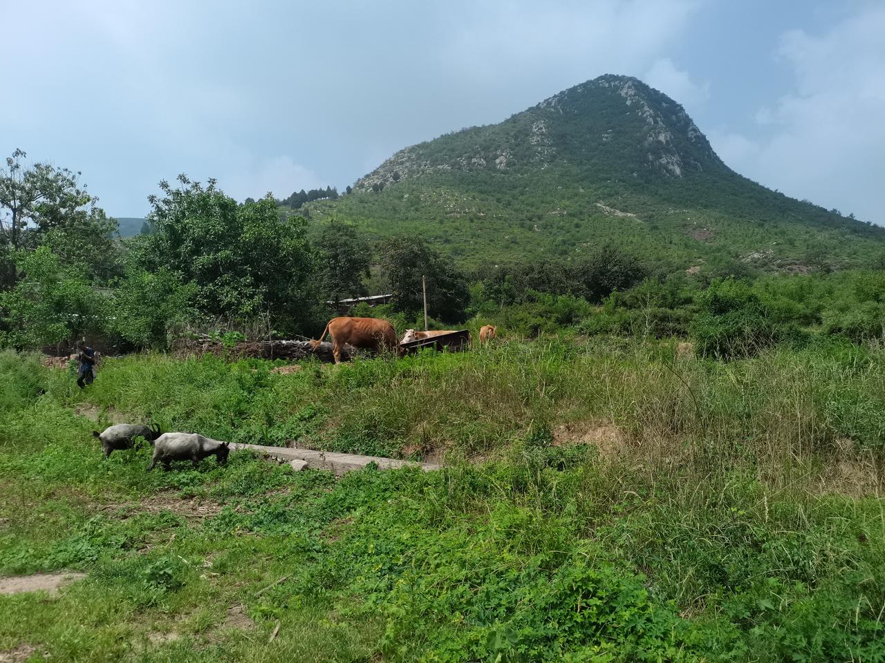 世外桃源
在传统经典徒步路线
皇马线上
有一座小山村
中庄村
四周群山环抱
老石