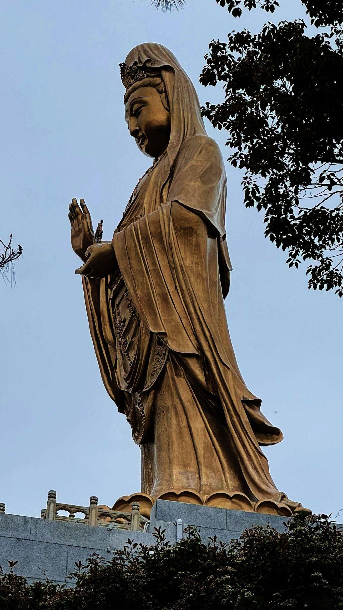 心有千千结，唯有自释怀。观音垂目，渡人终究是自渡。 ​​​