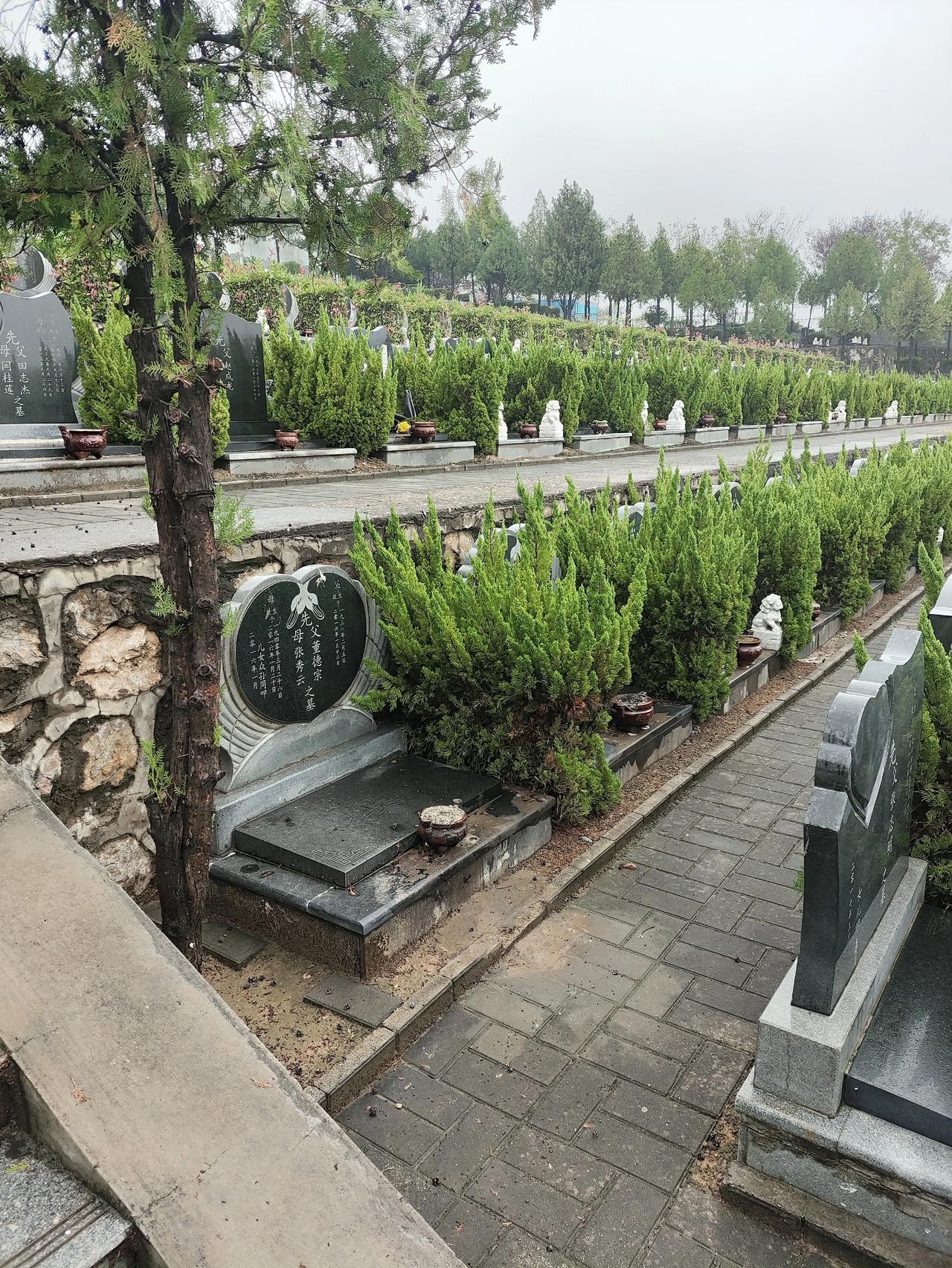 “戴虎？何许人也？”难道背后又有哪个“贵妇人”？“高山上的花环”“雷军长”去哪儿