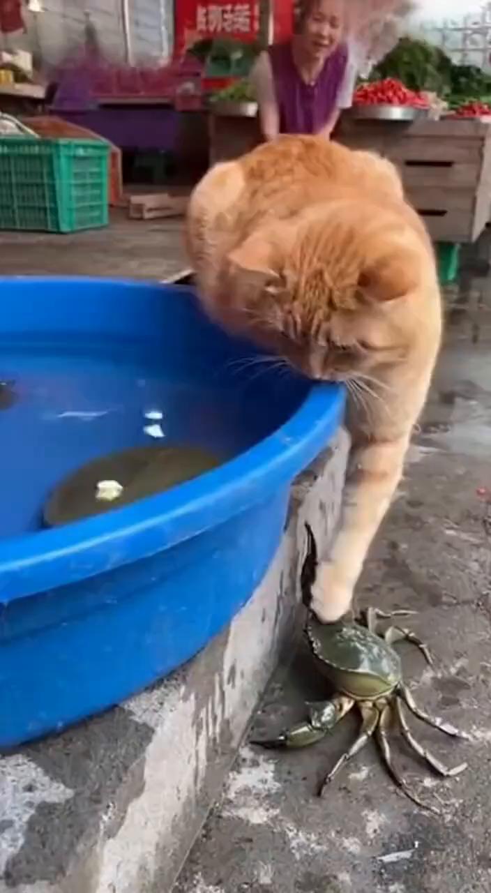 啊，哈哈，哈哈，哈哈哈哈哈。