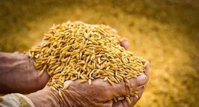 五大常任理事国的粮食自给率情况如下：第一，法国粮食自给率高达329%。第二，俄罗