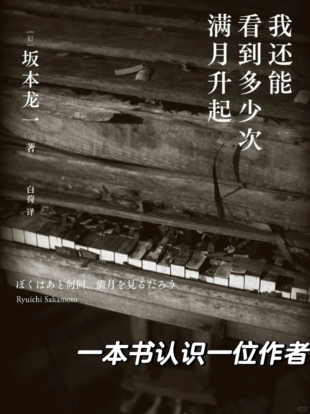 🌿为自己的葬礼选好曲目，人生赢家⁉️