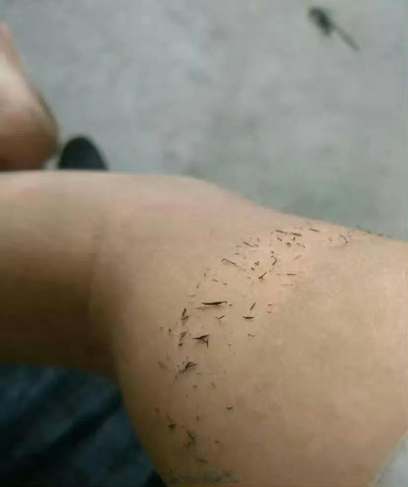 这个在你们那方言叫啥？？？ 