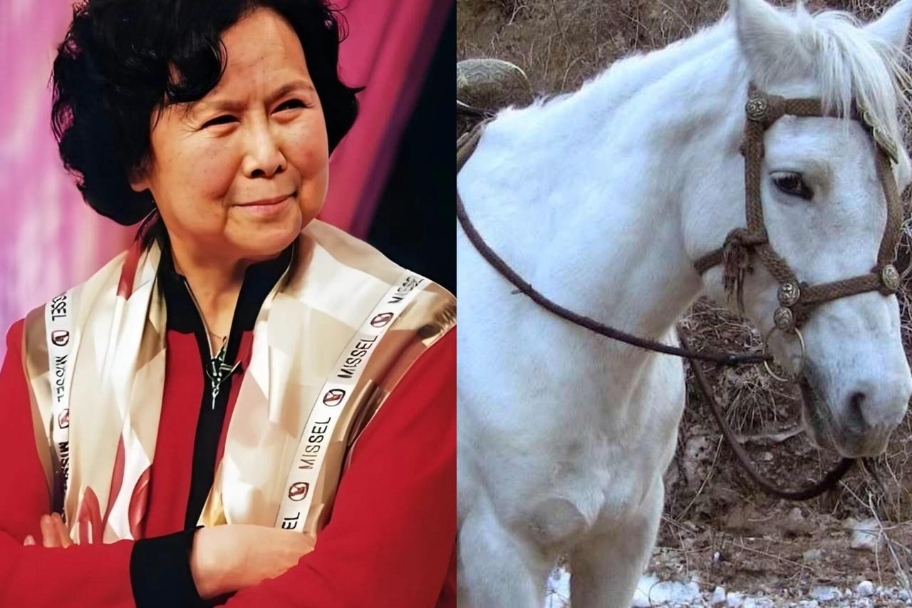 当年《西游记》杀青后，导演杨洁就把白龙马安置在无锡的养马场，可是当杨洁再次来看白