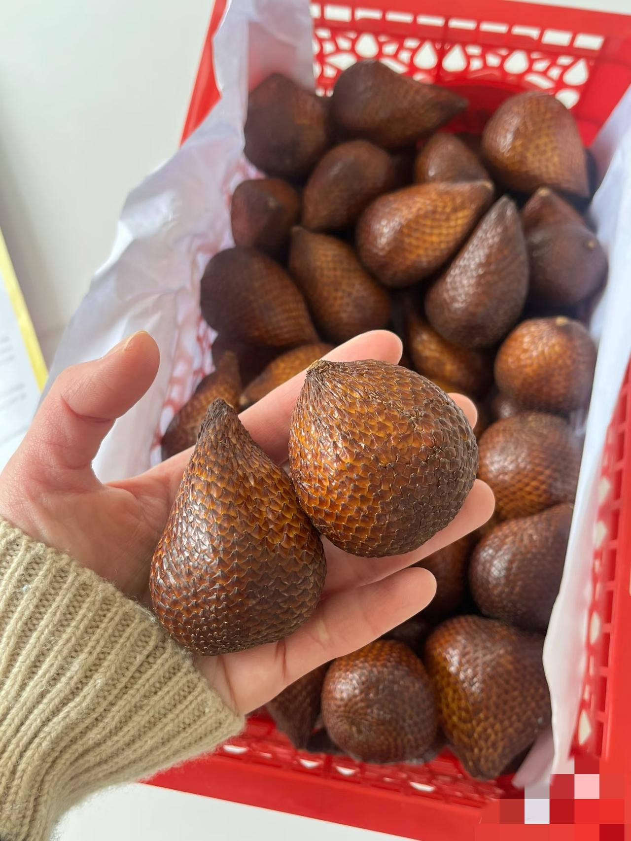 亲戚上门带的水果，长相太奇葩，直接把我看懵了！
一开始还以为是奇怪的蛋，看清果柄