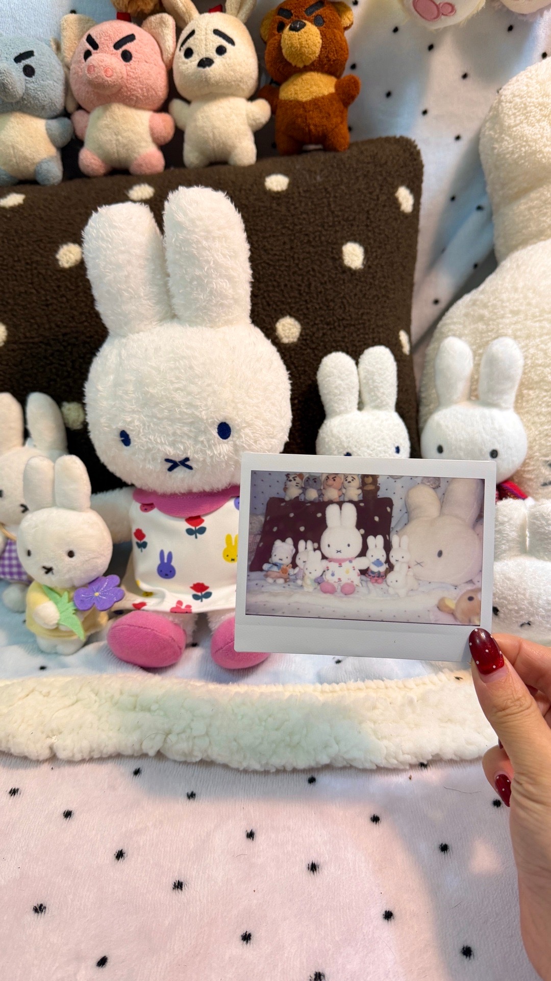 上次买不懂买到假的了，果然还是正版的脸好看！ 