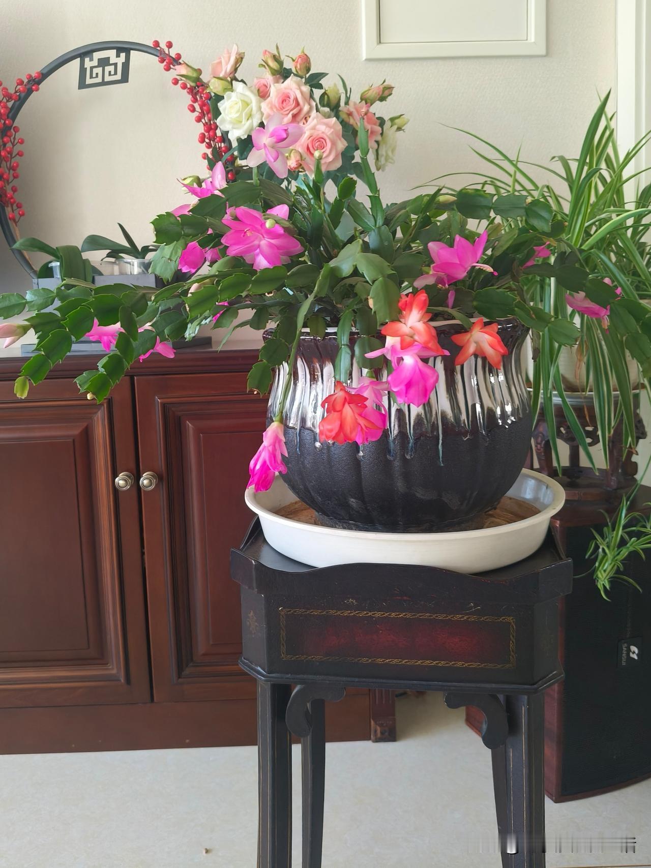 客厅里摆着漂亮的花瓶和蟹爪兰花，花开花落享受生活的乐趣。