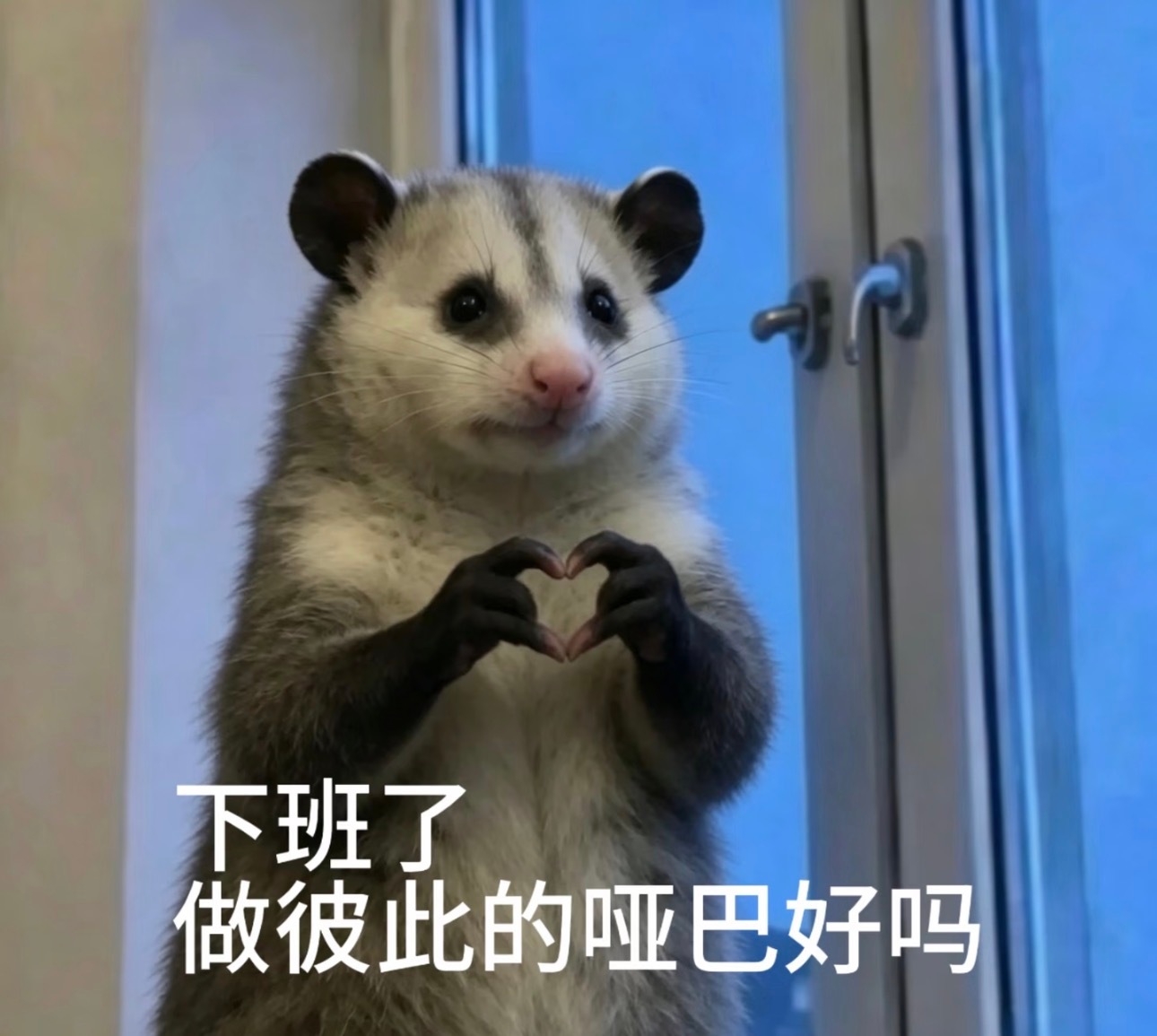 分享图片 