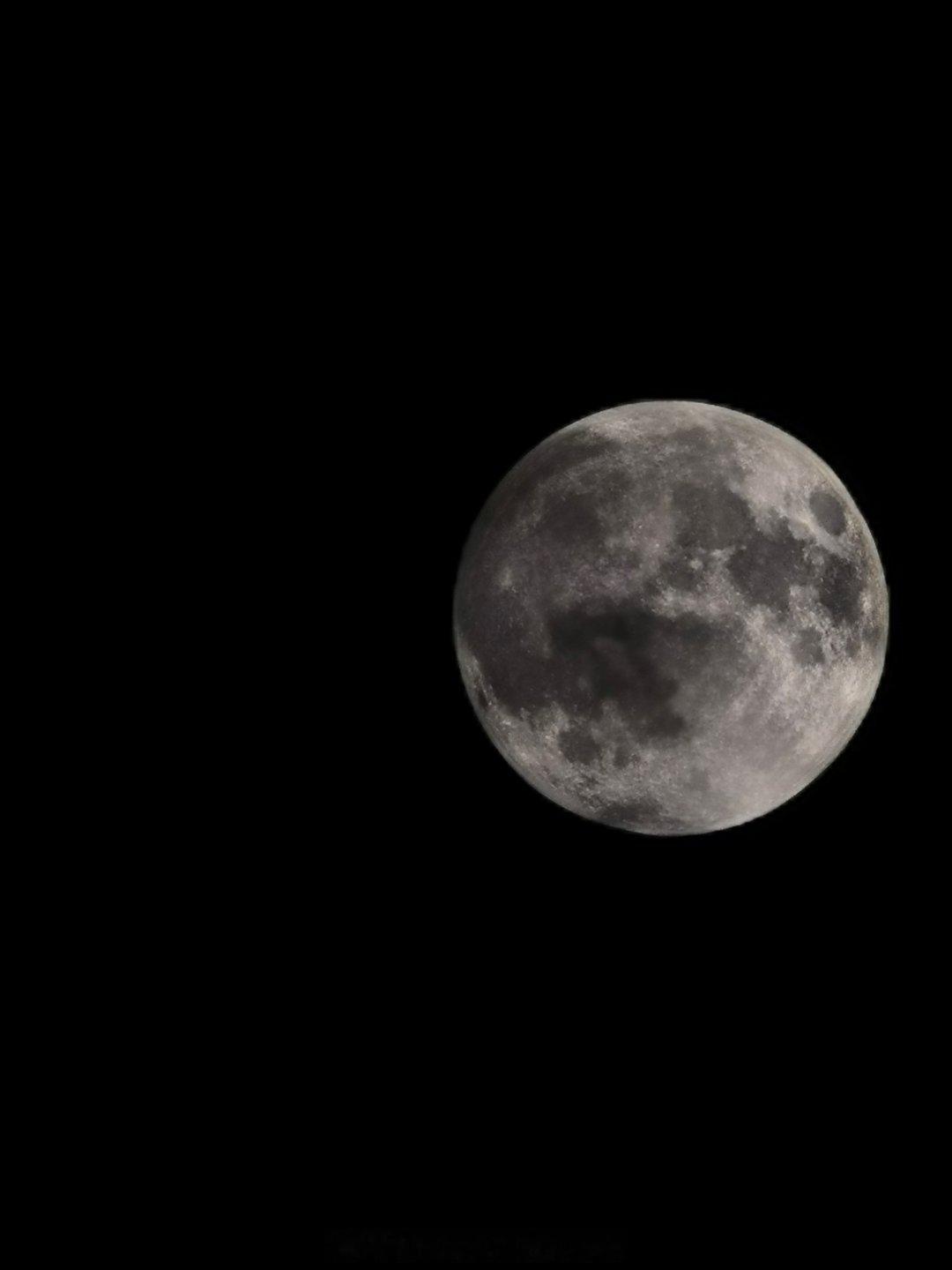 🥮❤️ ​​​