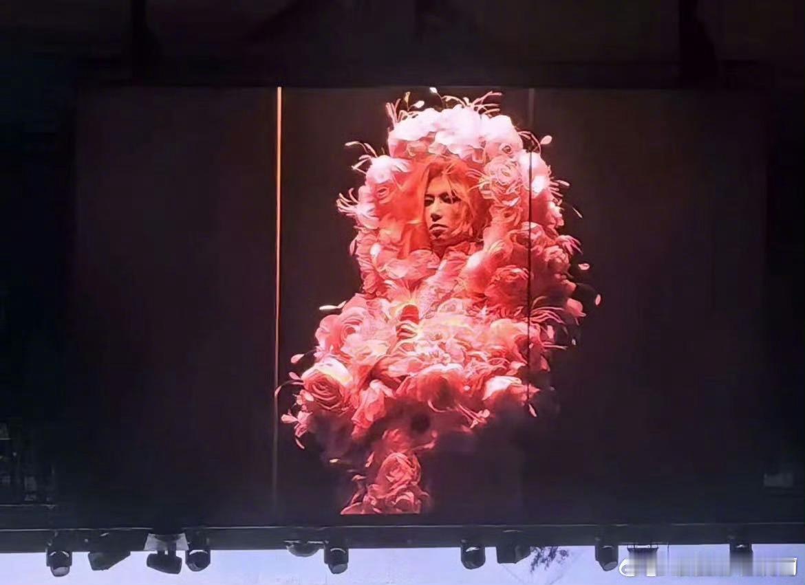 华晨宇粉色永生花造型  华晨宇以粉色永生花造型亮相，美如梦幻，仿佛被世间美好紧紧