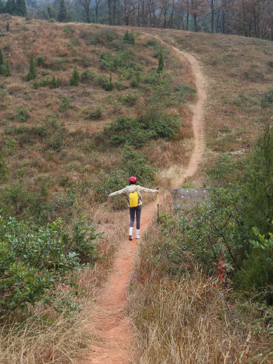 后悔才发现！成都1h直达私藏的山脊轻徒步路