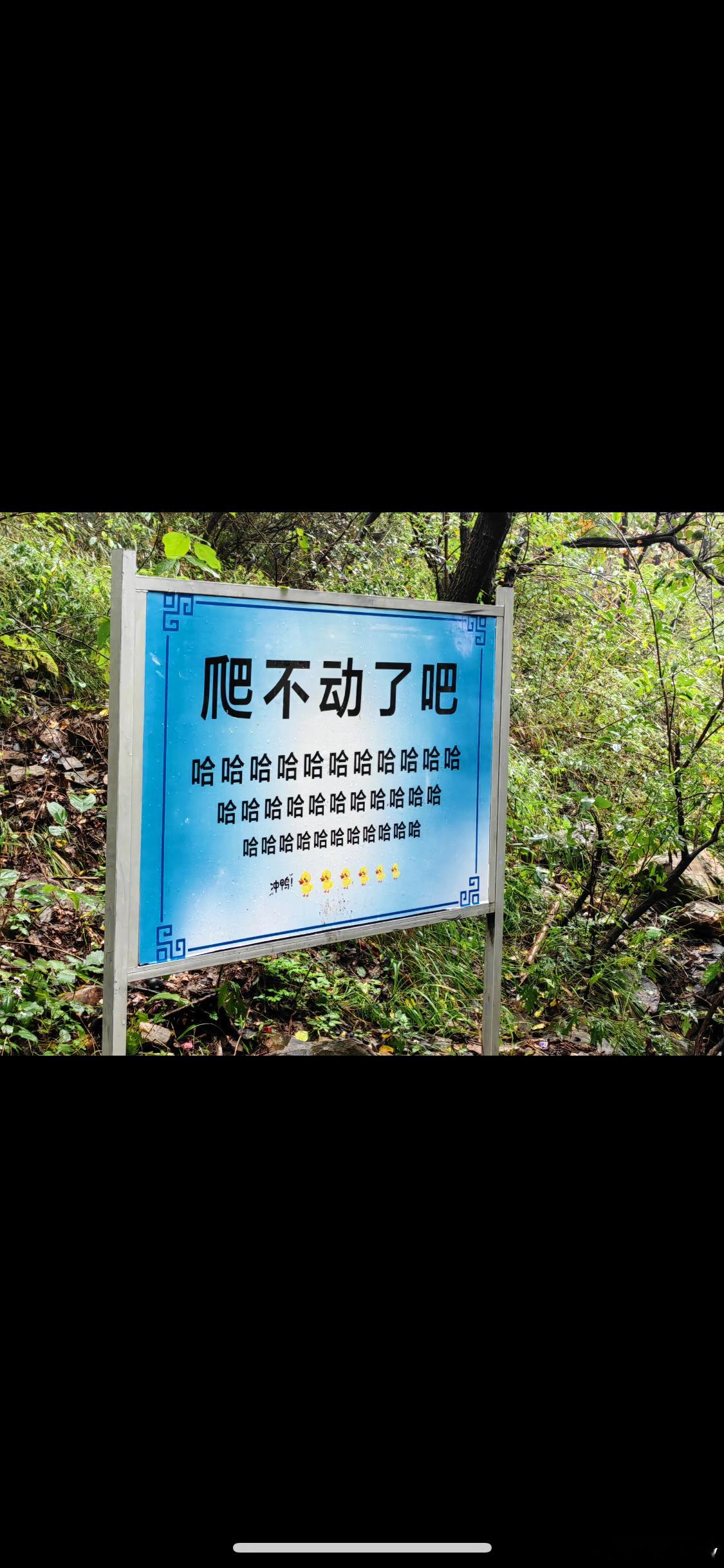 嵩山回应听劝换回被撤网红标语好听的文案千篇一律，而懂人的幽默万里挑一。嵩山这波“