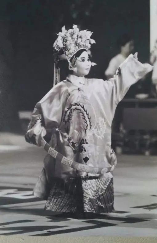 95后河南姑娘谢彦巧4岁登台！演穆桂英24年！有人被她勾起了童年回忆……

谢彦