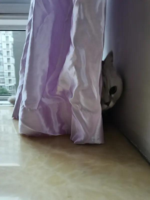 你们那里“捉迷藏”用方言怎么说?藏猫猫