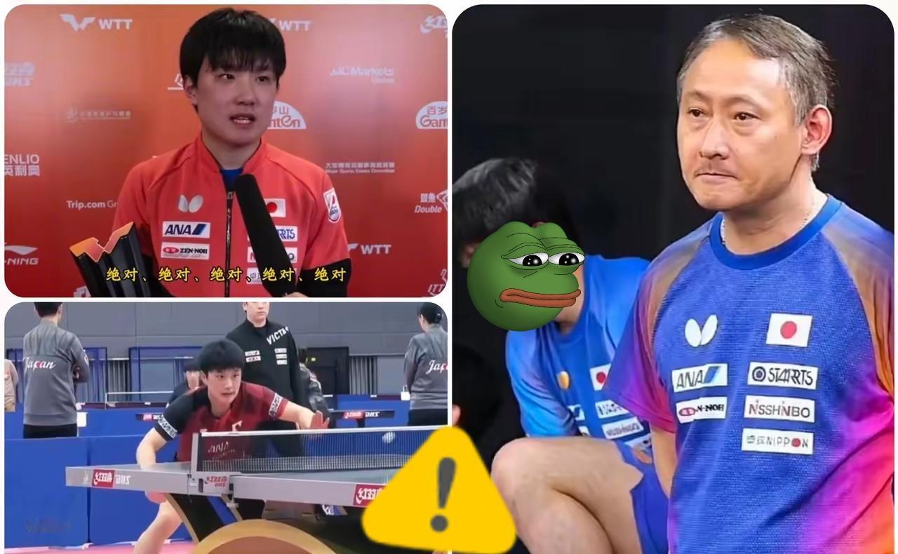 喊错口号引火烧身！张本智和这波操作，根本不是口无遮拦，而是狐狸尾巴藏不住了！
 