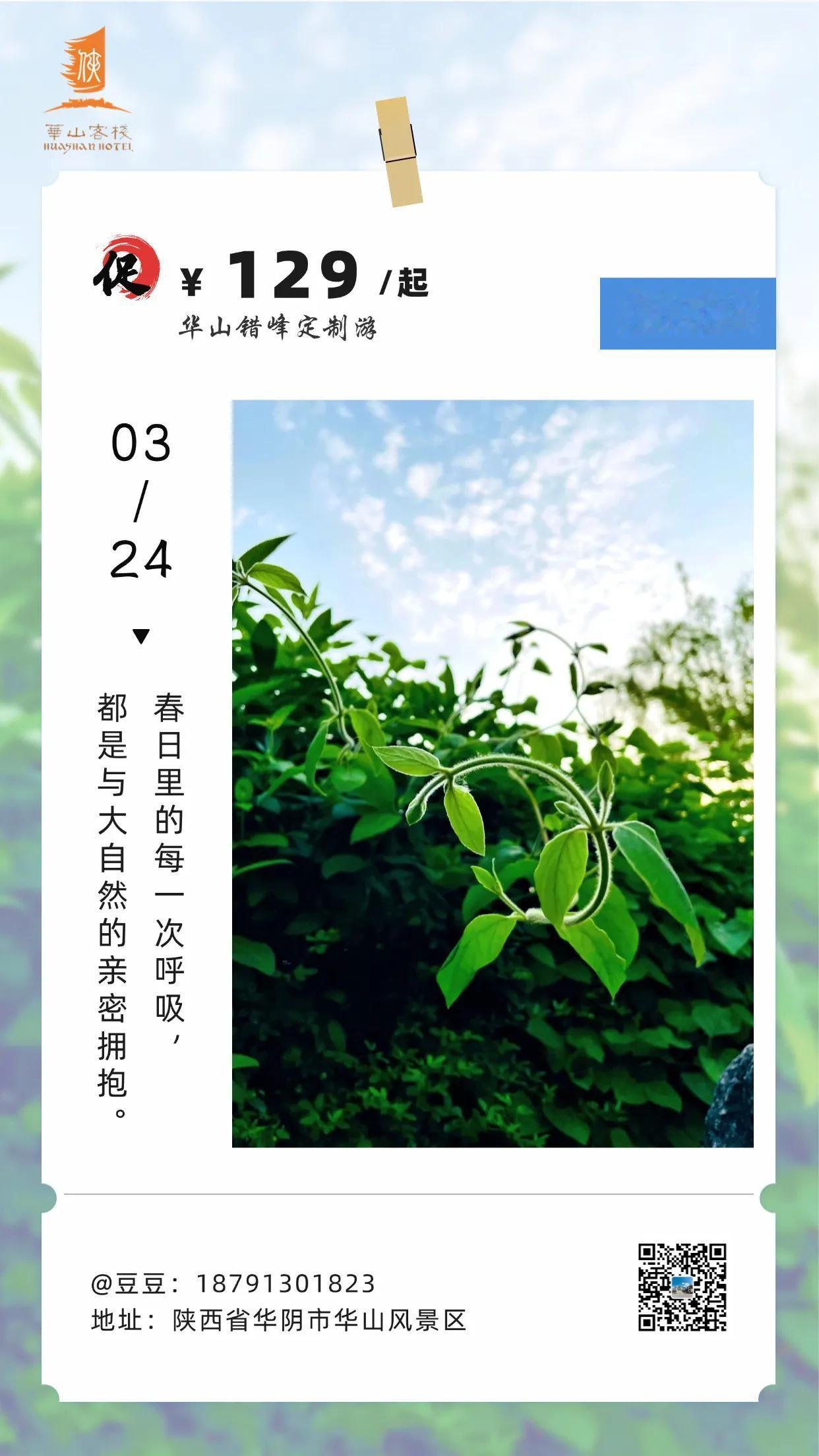 在春日客栈，晨曦初露，为大地披上一层薄纱。
每一次呼吸，清新的空气裹挟着春的蓬勃