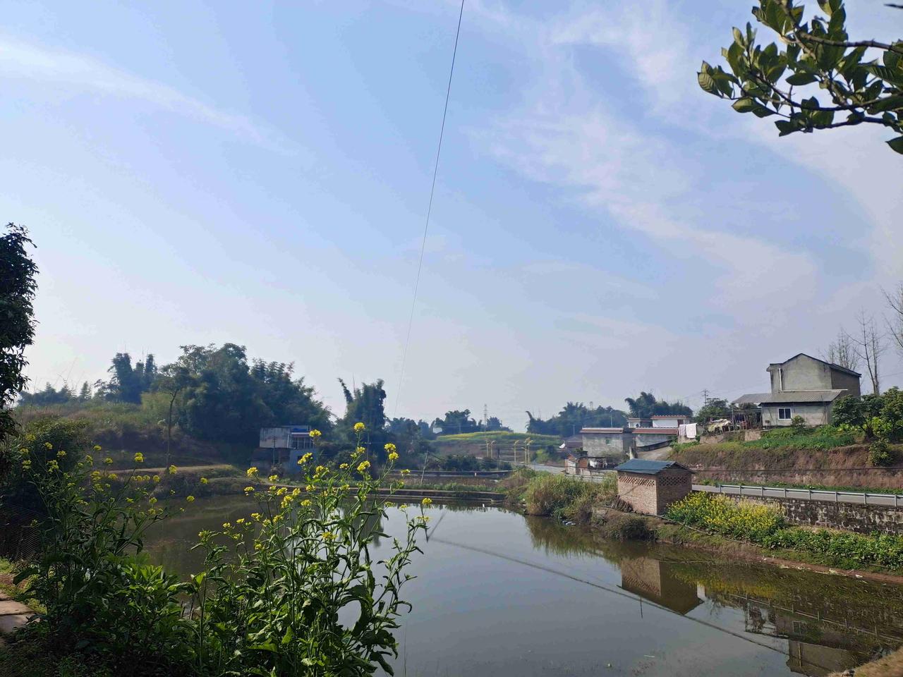 我的婆婆为什么把自己活成了孤家寡人？这类事在如今的农村已经是常态了。
 
昨天带