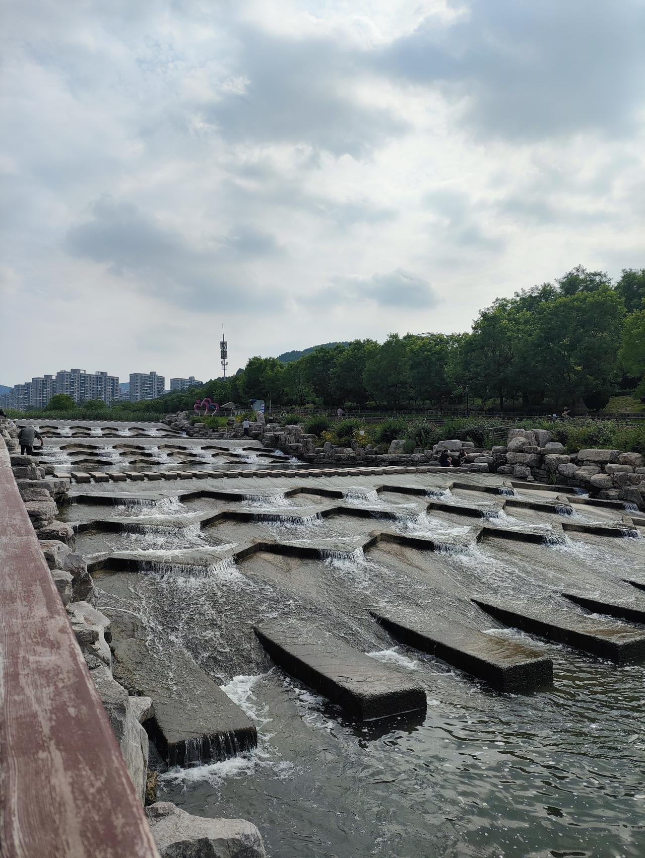 济南孟家水库，那可是个宝藏地。它周边环境超棒，绿树环绕，空气清新得很。我之前去过