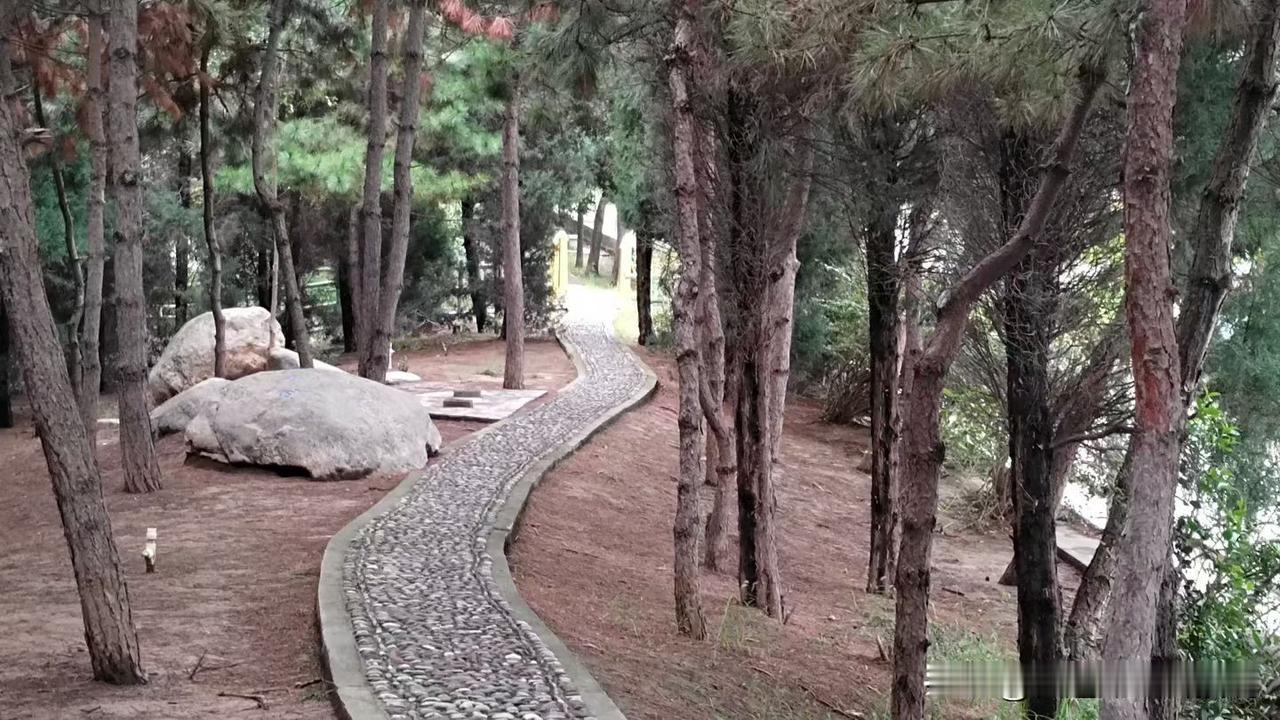 一张图证明秋天来了