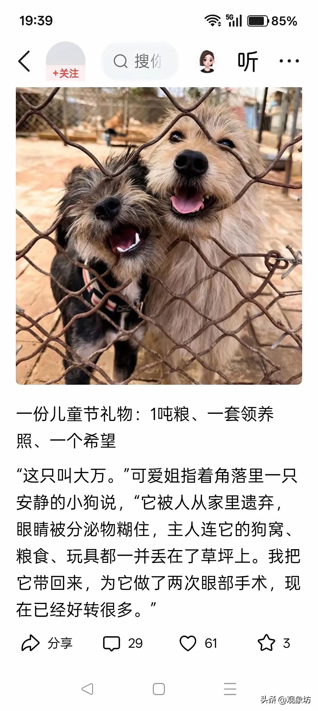 请把儿童节还给孩子。
“六一”是法定的儿童节，也就是14周岁以下的儿童过节。现在