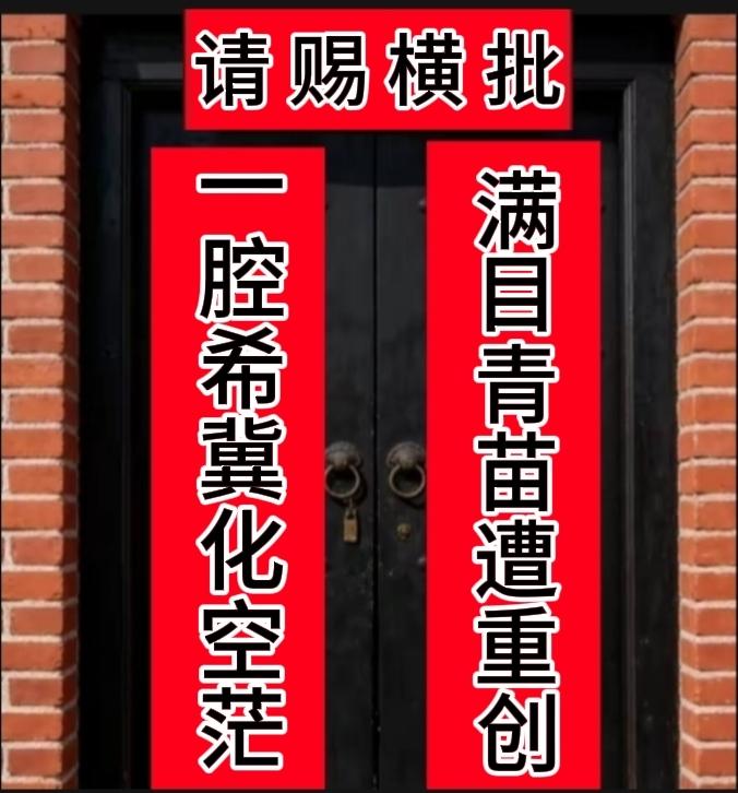 上联：满目青苗遭重创
下联：一腔希冀化空茫
请君赐横批？