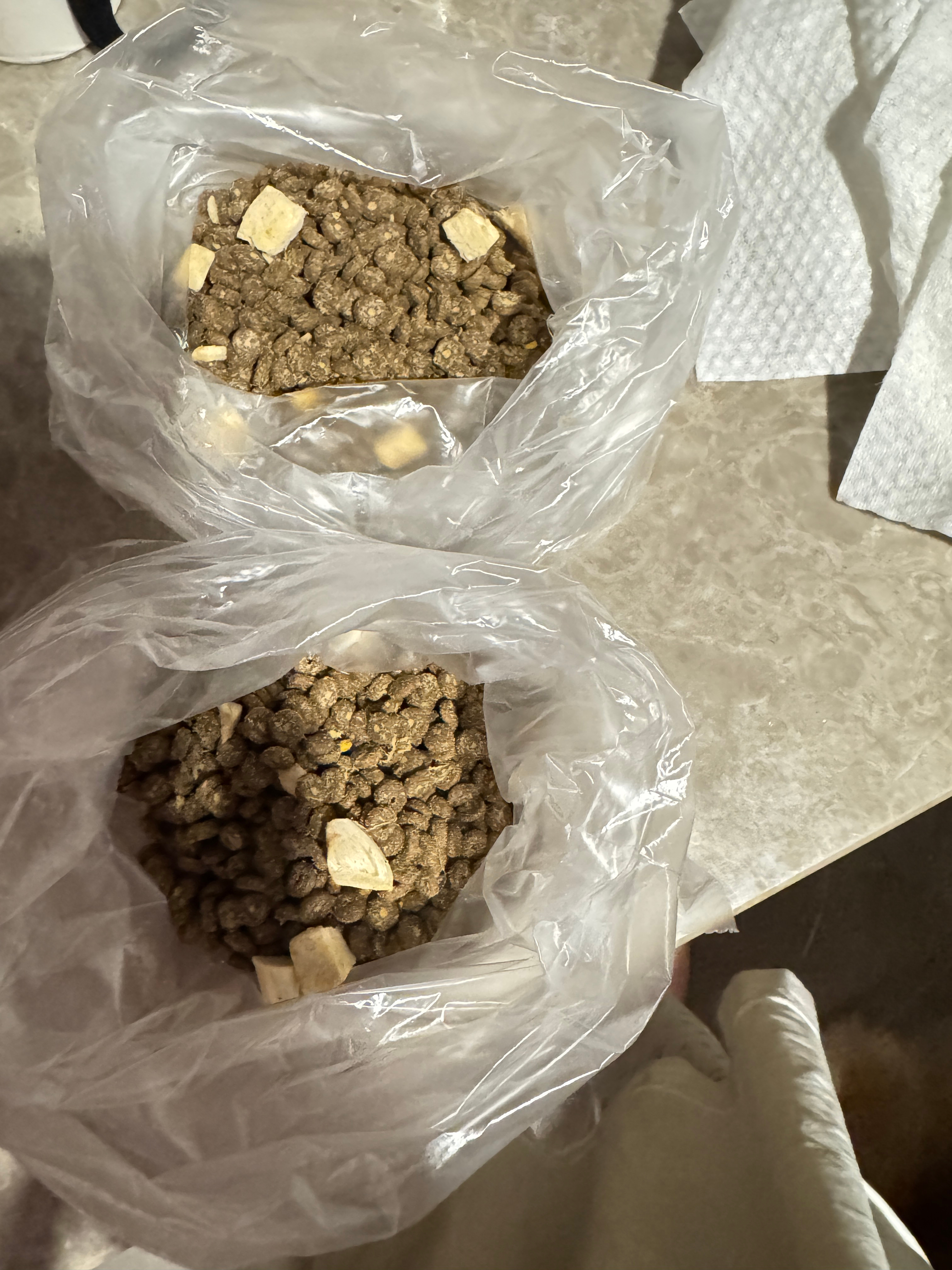 为啥大风大雨天还要出去喂猫 因为一闭眼脑子里的画面就是小猫在外面大风大雨要躲雨街