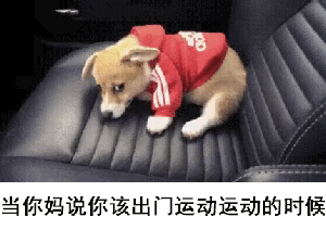 图一：修狗你那敷衍的样子，真的对不起自己身上穿的那件运动服啊？
图二：口罩确实不