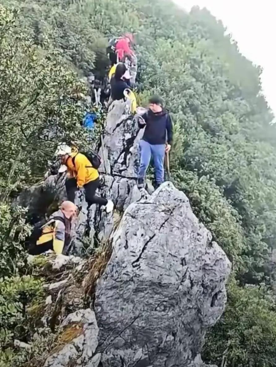 你能想象吗？有人登山时只因玩个手机，就“哐当”一下摔下了悬崖，这剧情比电影还刺激