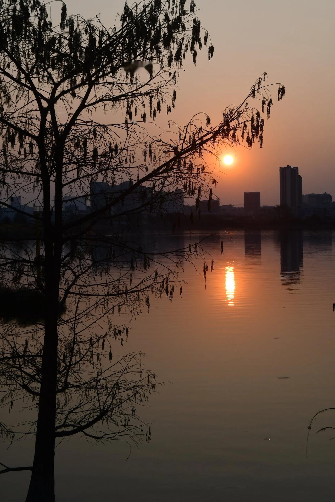 分享一张海滩的日出与夕阳