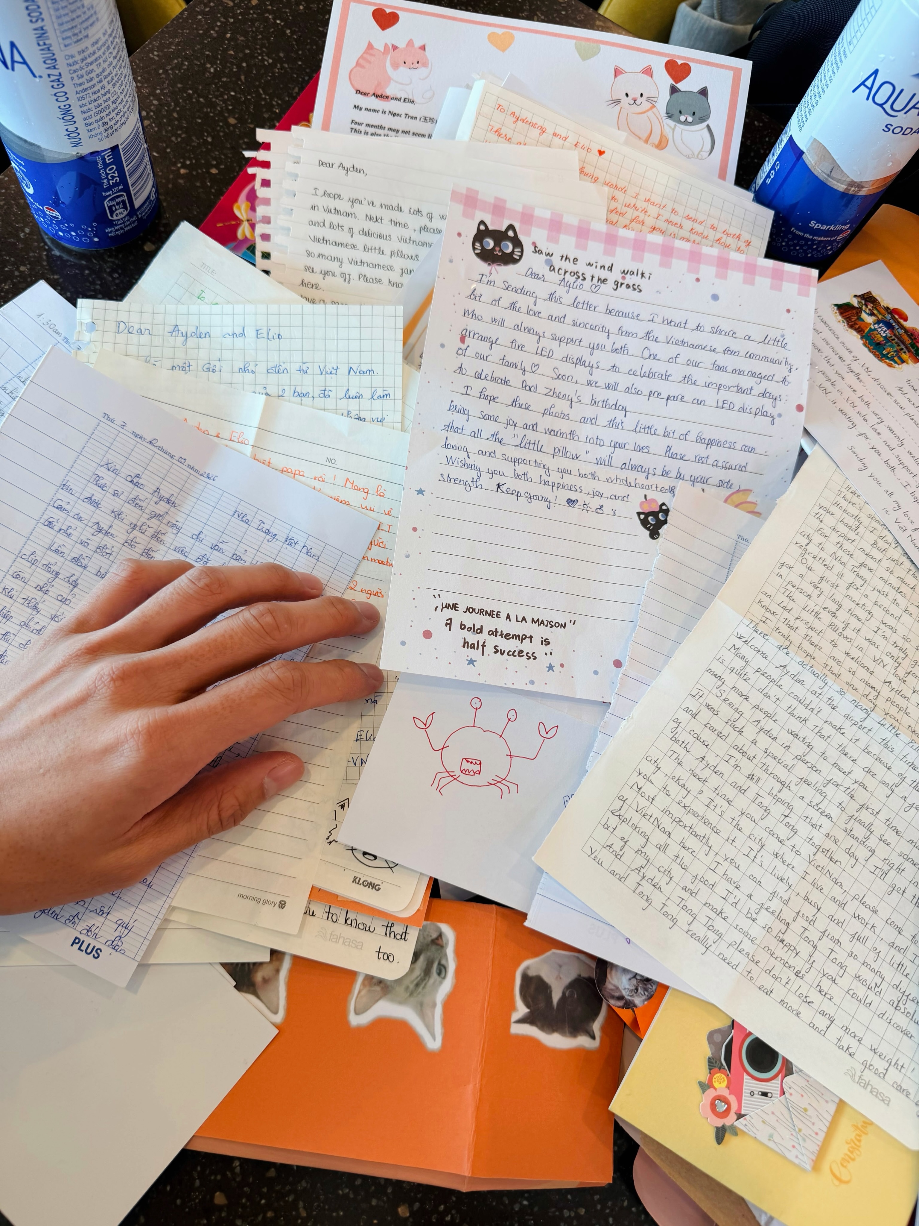 政瞳  260914｜孙政ig更新postcards 🇻🇳🏝️ 