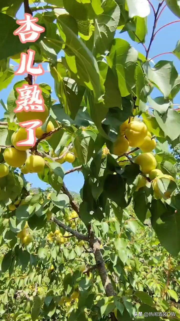 有男朋友还出轨的女孩，心理可能挺复杂。就像已婚女人出轨，或许是婚姻里长期缺爱，内