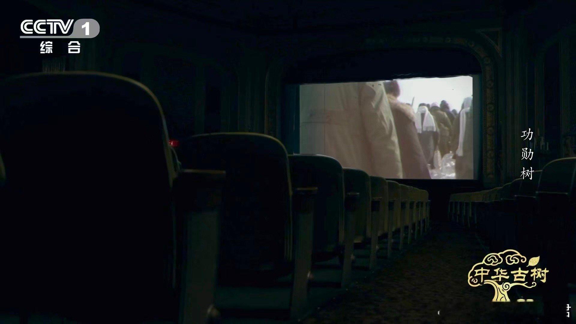 140岁落叶松救活一片荒漠一棵百岁树也能教人种树在所有人都放弃的时候，一棵树站了