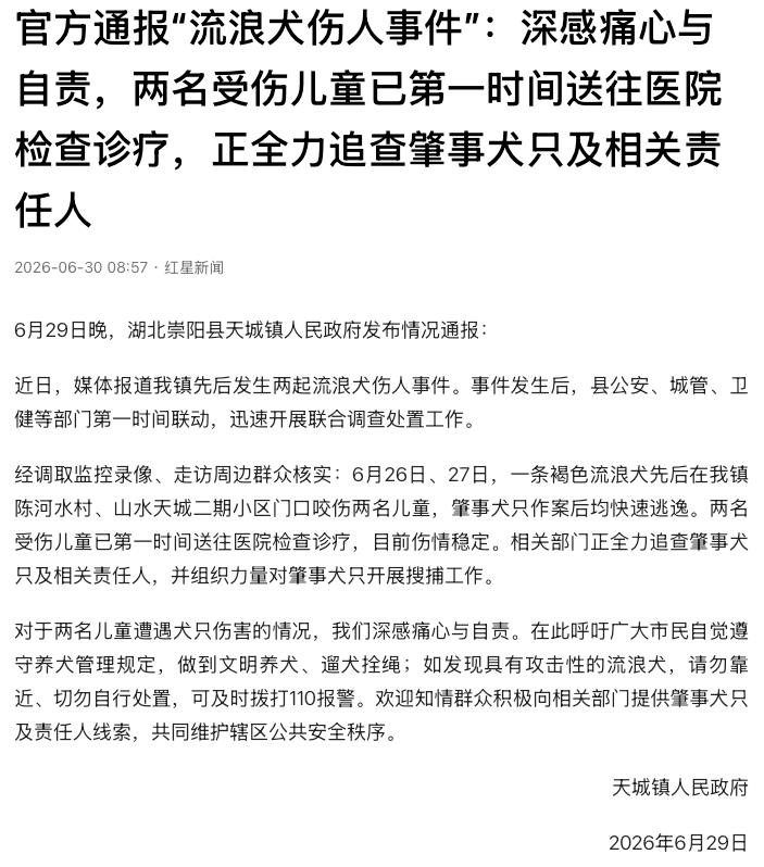 “真该管管了！”湖北咸宁，一条流浪犬两天内连咬两名儿童，6月26日咬伤一个孩子，
