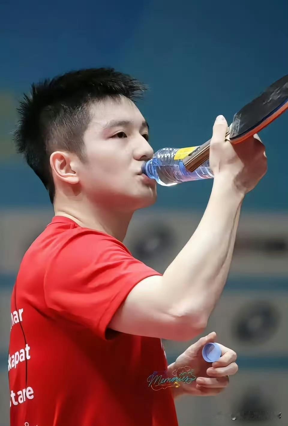 功勋手臂
 
世人偏爱樊振东的凌厉球技与沉稳气质，却鲜少细品他那兼具力量与美感的