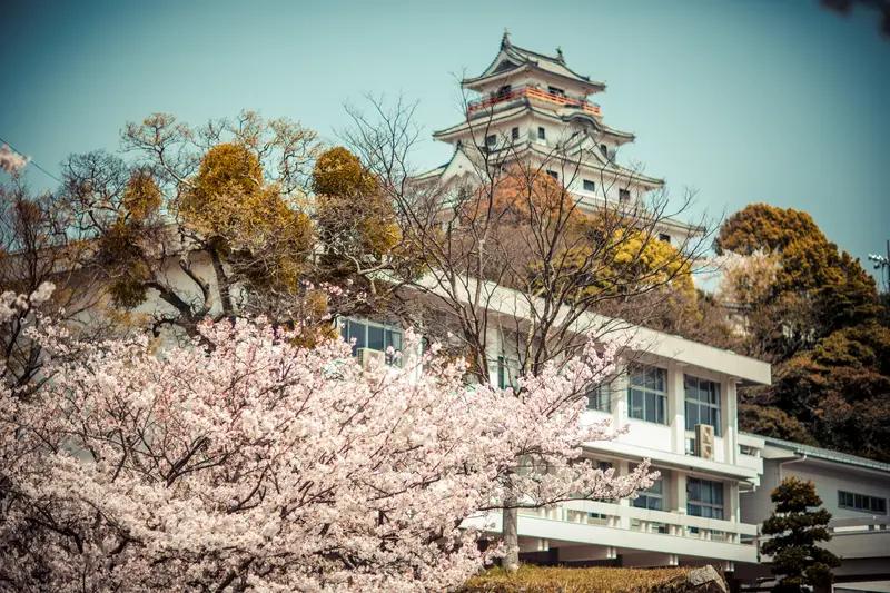 最近中国驻日本福冈总领馆紧急提醒可不少。11月25日，日本九州岛发生5.3级地震