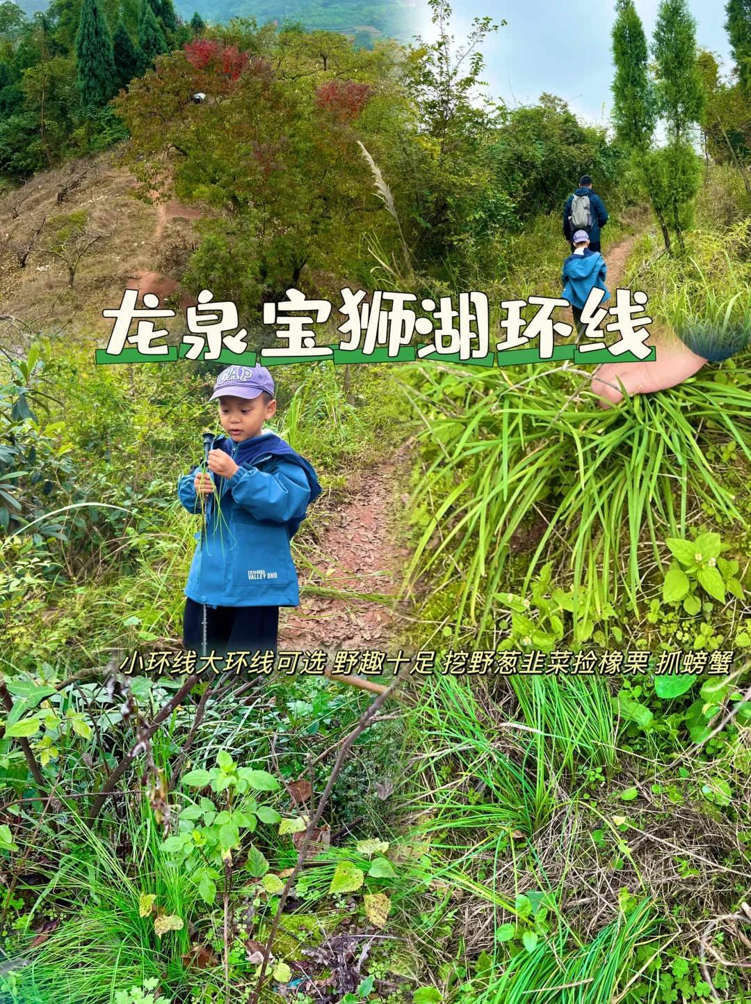 成都周边0.5h‼️小众人少亲子徒步挖野葱韭菜