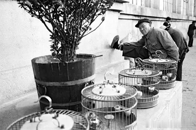 1986年的北京生活 