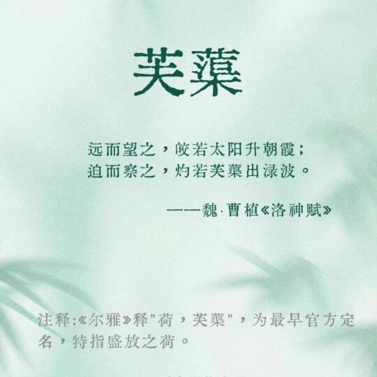 古人对「荷花」的6大雅称，你都知道哪些？