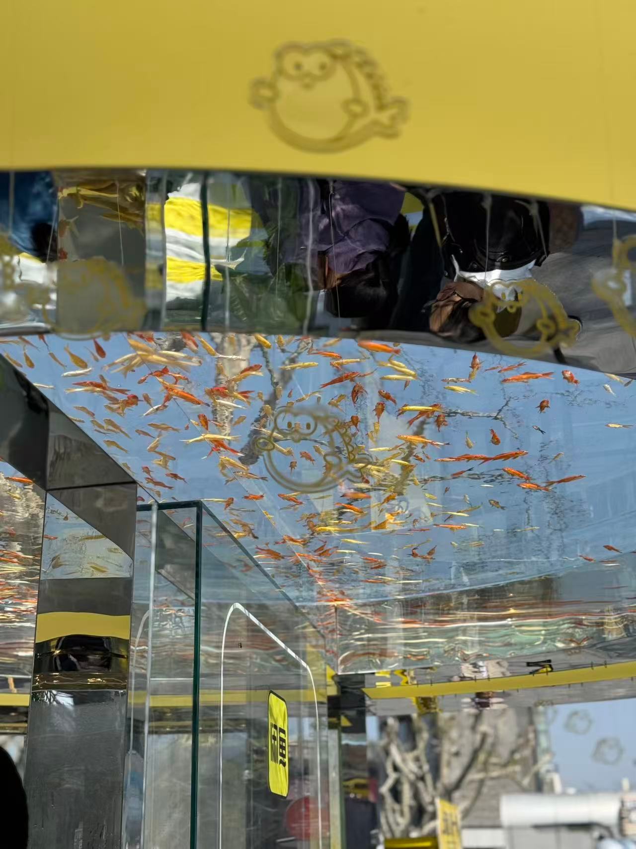 建议每个喜欢杭州春天的人都去西湖逛逛闲鱼西湖拍拍节！逛展10分钟，充电一整周~在