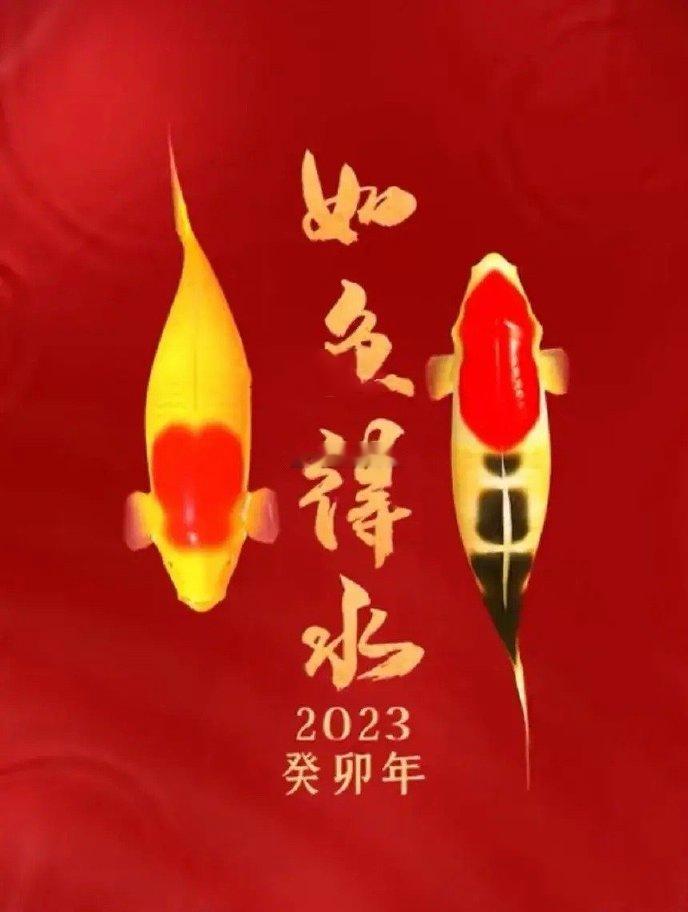 转发锦鲤，事业爱情都顺意！ 