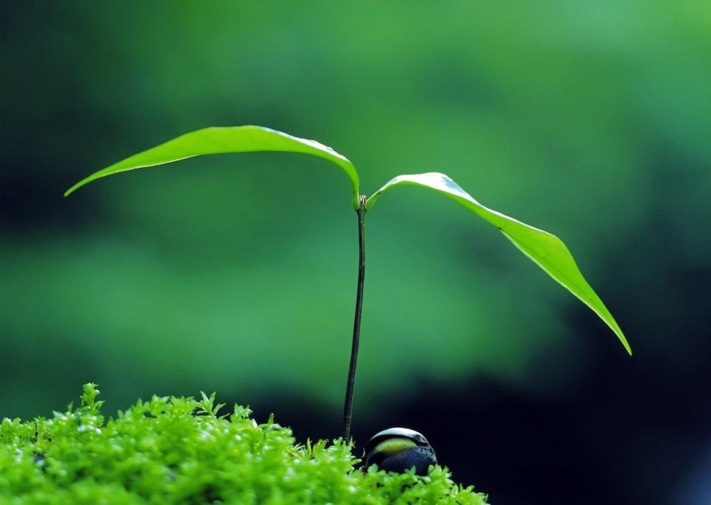 万物自有节奏，小闲既欢，小清既安。不追、不赶、不执念，顺自然，守本心，今夜只与清