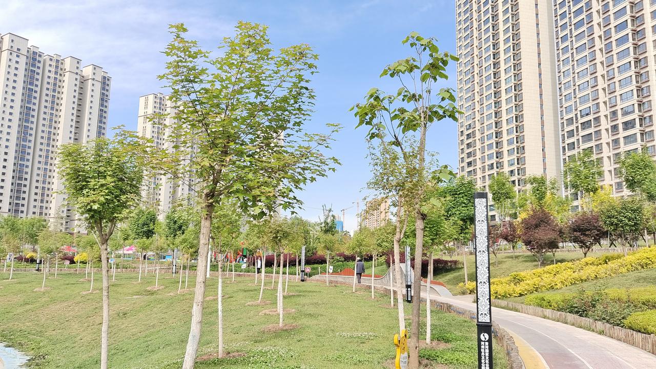 城市绿洲，高楼林立，绿意盎然，步道悠然。