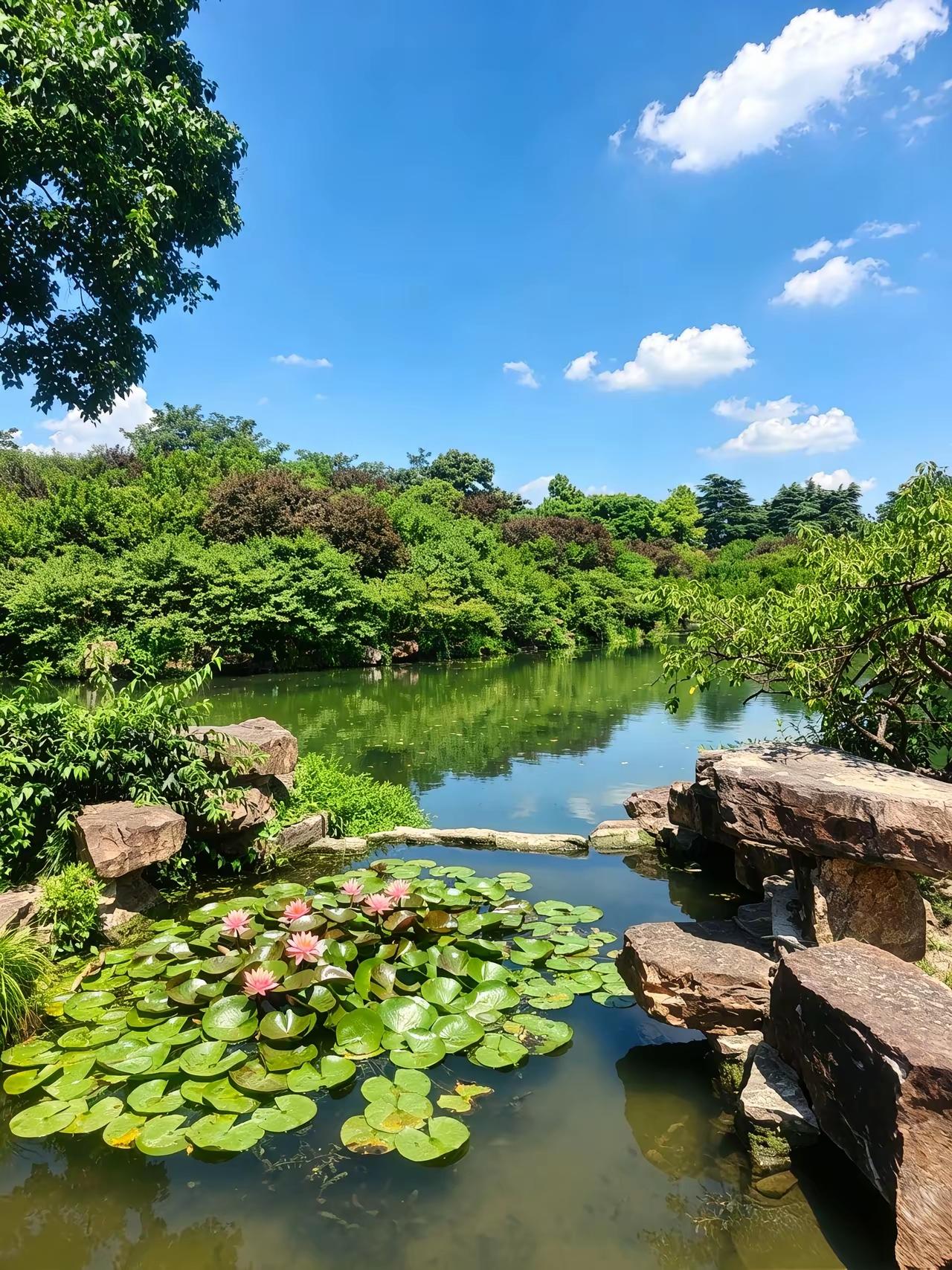 夏日的美好，藏在自然与生活的烟火气里。

在海边，穿白色长裙的姑娘是一道诗意风景