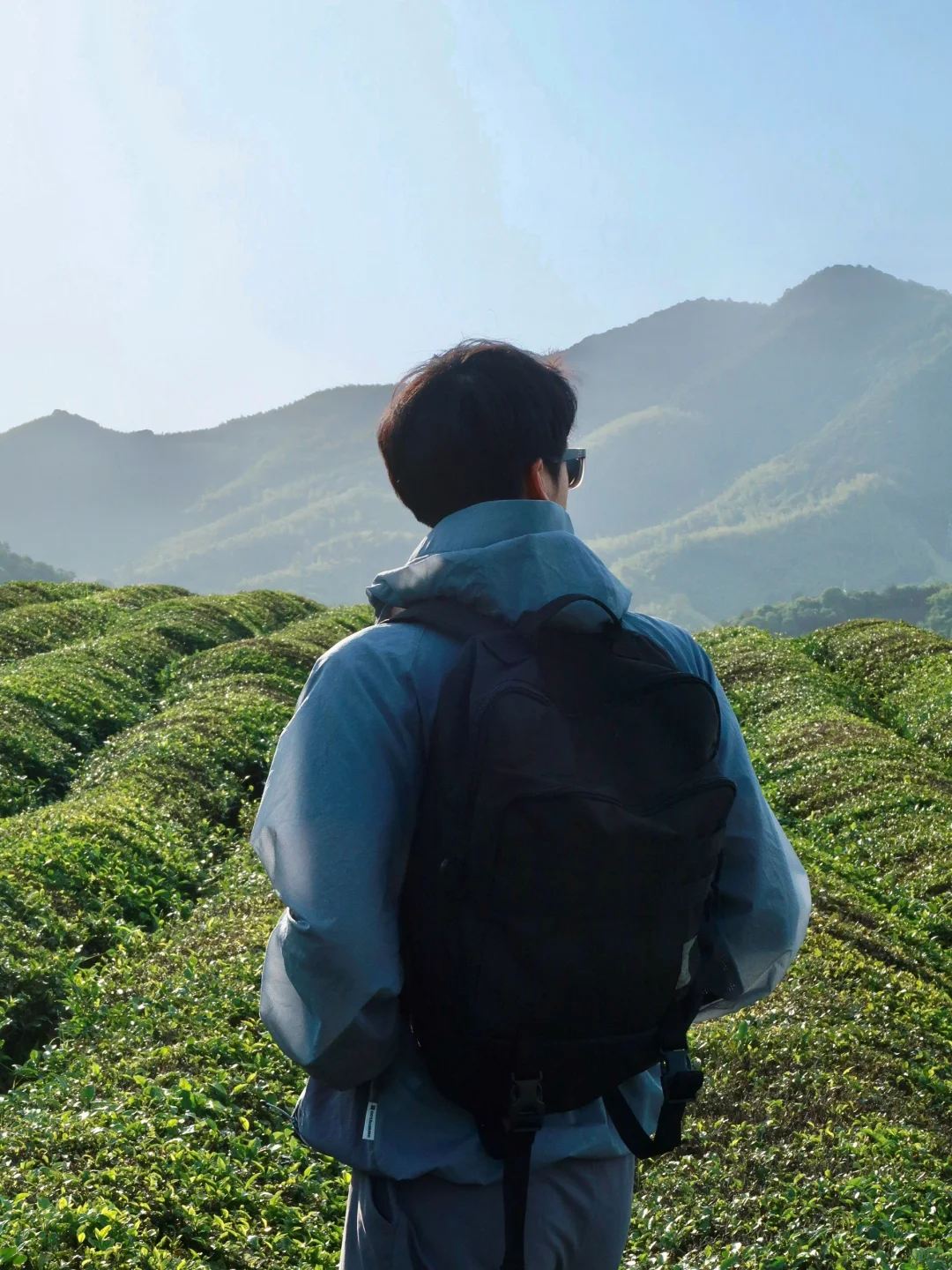 你不是没有钱去旅行，你只是不想