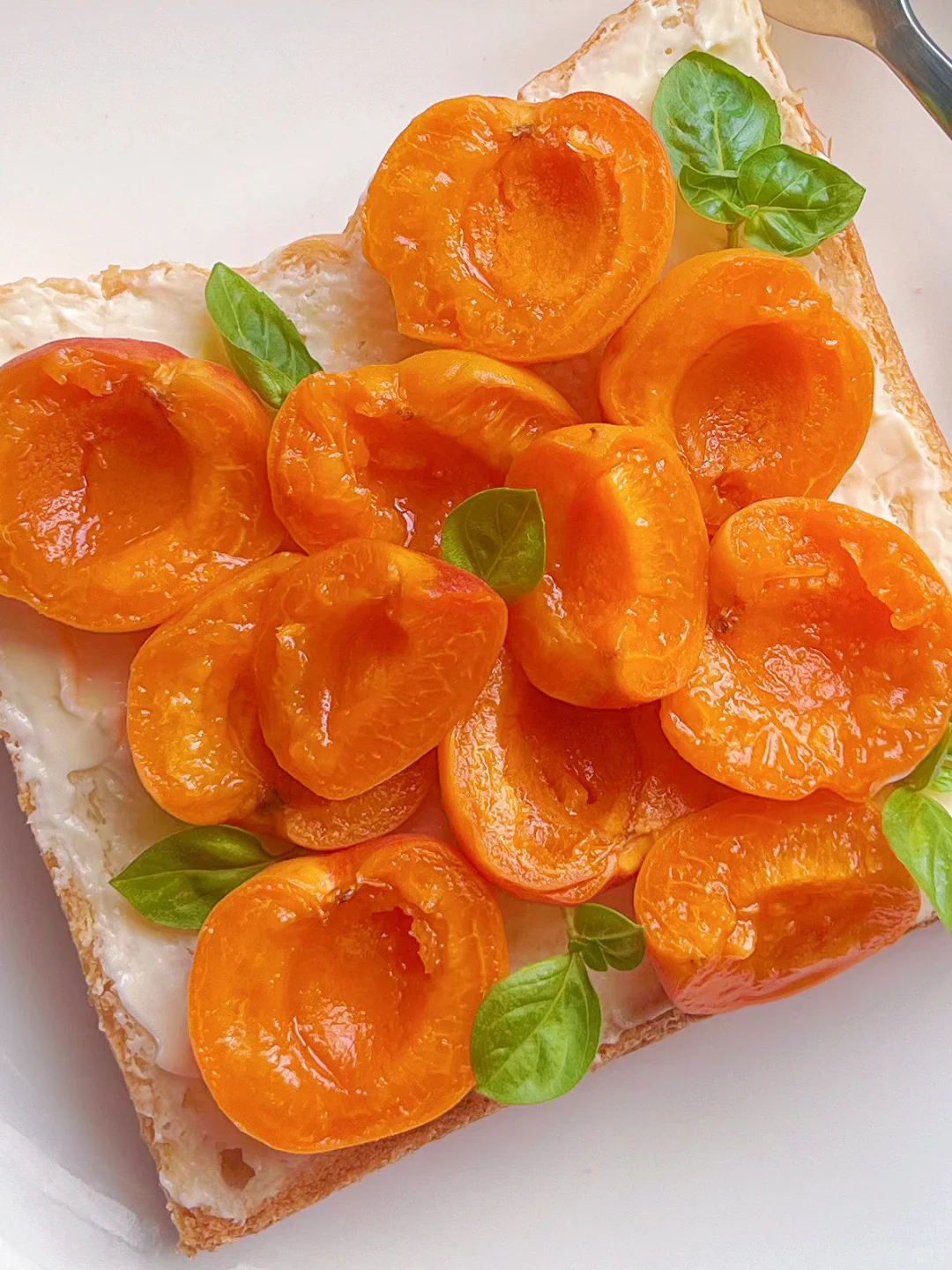 今日份满屏的甜蜜💕甜杏乳酪吐司